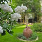 Коттедж (Большой дом ЖиВа, 215кв.м на 6 гостей), Коттедж Залесская дача