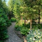 тропинка дендропарка