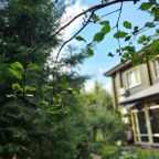 Коттедж (Большой дом ЖиВа, 215кв.м на 6 гостей), Коттедж Залесская дача