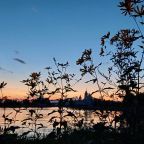 Коттедж (Большой дом ЖиВа, 215кв.м на 6 гостей), Коттедж Залесская дача