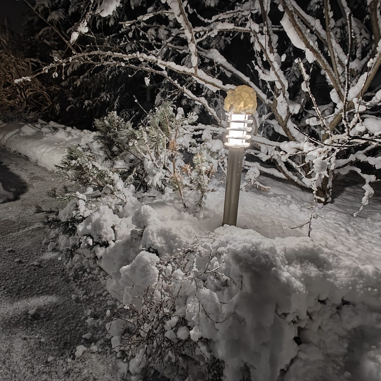 Коттедж (Большой дом ЖиВа, 215кв.м на 6 гостей), Коттедж Залесская дача
