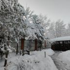 Коттедж (Большой дом ЖиВа, 215кв.м на 6 гостей), Коттедж Залесская дача