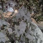 Коттедж (Большой дом ЖиВа, 215кв.м на 6 гостей), Коттедж Залесская дача