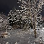 Коттедж (Большой дом ЖиВа, 215кв.м на 6 гостей), Коттедж Залесская дача