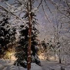 Коттедж (Большой дом ЖиВа, 215кв.м на 6 гостей), Коттедж Залесская дача