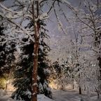 Коттедж (Большой дом ЖиВа, 215кв.м на 6 гостей), Коттедж Залесская дача