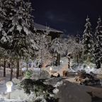 Коттедж (Большой дом ЖиВа, 215кв.м на 6 гостей), Коттедж Залесская дача