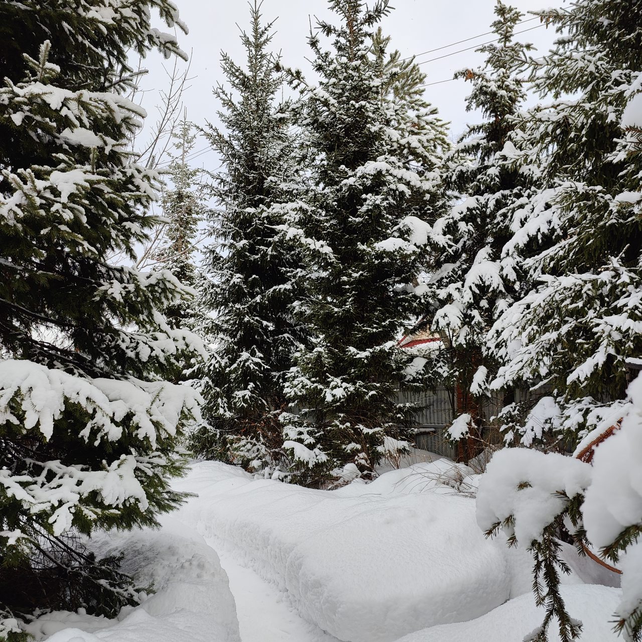 Коттедж (Большой дом ЖиВа, 215кв.м на 6 гостей), Коттедж Залесская дача