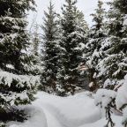 Коттедж (Большой дом ЖиВа, 215кв.м на 6 гостей), Коттедж Залесская дача