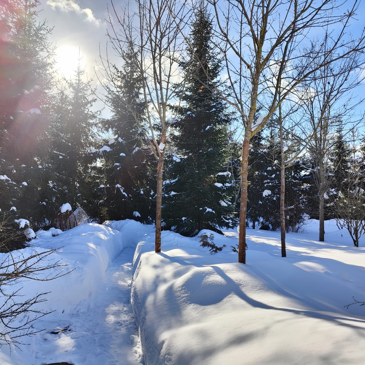Коттедж (Большой дом ЖиВа, 215кв.м на 6 гостей), Коттедж Залесская дача