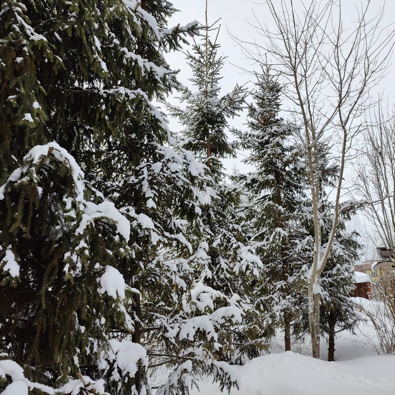 Коттедж (Большой дом ЖиВа, 215кв.м на 6 гостей), Коттедж Залесская дача