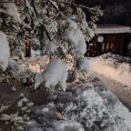 Коттедж (Большой дом ЖиВа, 215кв.м на 6 гостей), Коттедж Залесская дача