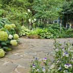 Дендропарк на территории, Коттедж Залесская дача