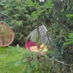 Дендропарк на территории, Коттедж Залесская дача