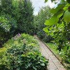 Дендропарк на территории, Коттедж Залесская дача