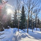 Дендропарк на территории, Коттедж Залесская дача