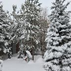 Дендропарк на территории, Коттедж Залесская дача