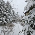 Дендропарк на территории, Коттедж Залесская дача