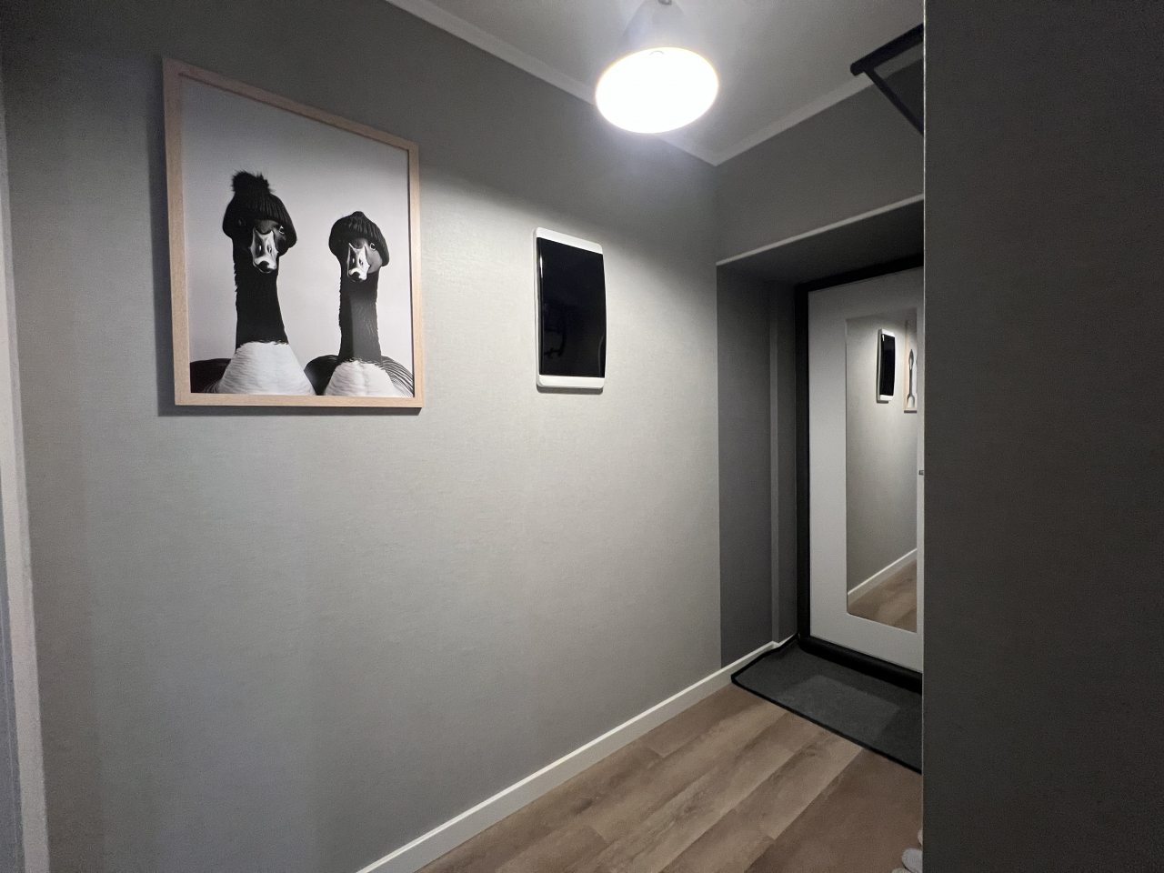 Квартира (Двухкомнатные апартаменты ГНЕЗДО), Апартаменты Двухкомнатные ГНЕЗДО