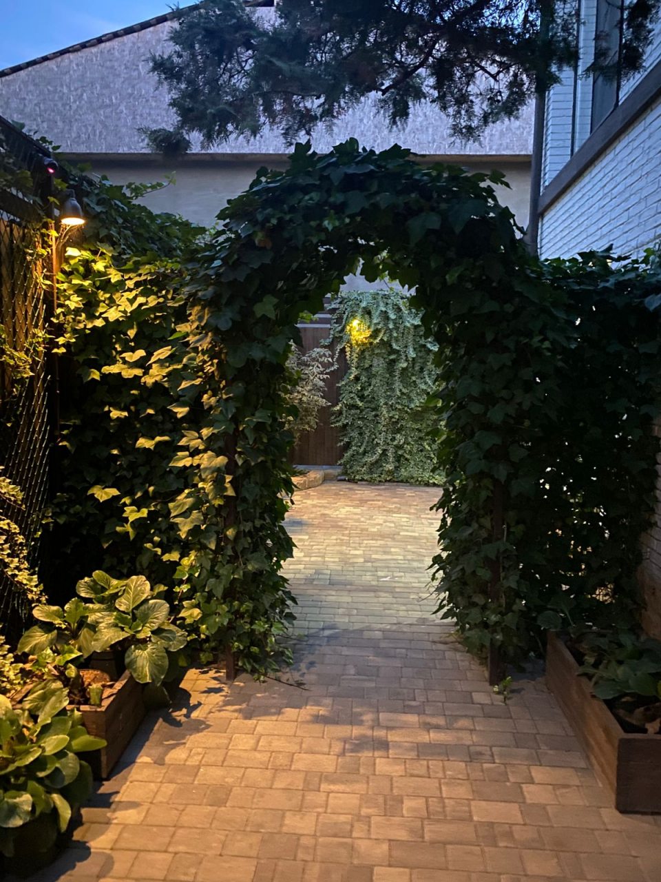 Апартаменты (Апартаменты № 4), Гостиница Сосна