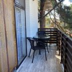 Апартаменты (Апартаменты № 5), Гостиница Сосна