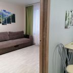 Комфортный раскладной 2-х местный диван.