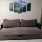 Комфортный раскладной 2-х местный диван.