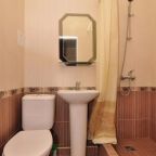 Санузел с душем, раковиной, зеркалом и туалетом