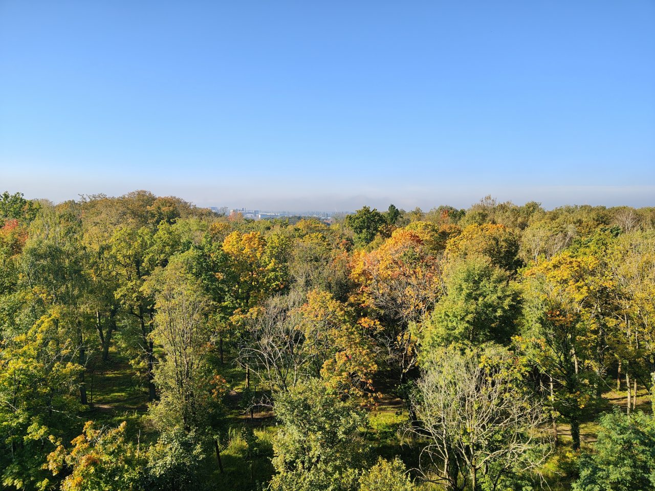 Одноместный (С лоджией и видом на зелень), Апартаменты Kenig Holidays вблизи Центрального парка