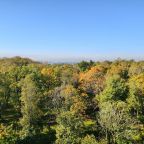 Одноместный (С лоджией и видом на зелень), Апартаменты Kenig Holidays вблизи Центрального парка