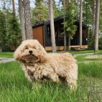 Допускается размещение домашних животных, База отдыха LAND BREEZE