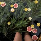 Тихое место, База отдыха LAND BREEZE