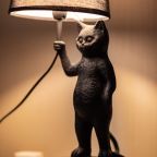 Апартаменты (Kommunal'naya apartments), Апартаменты Посутки на Коммунальной