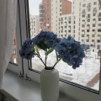 Апартаменты (Апартаменты 362), Апартаменты 362