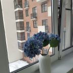 Апартаменты (Апартаменты 362), Апартаменты 362