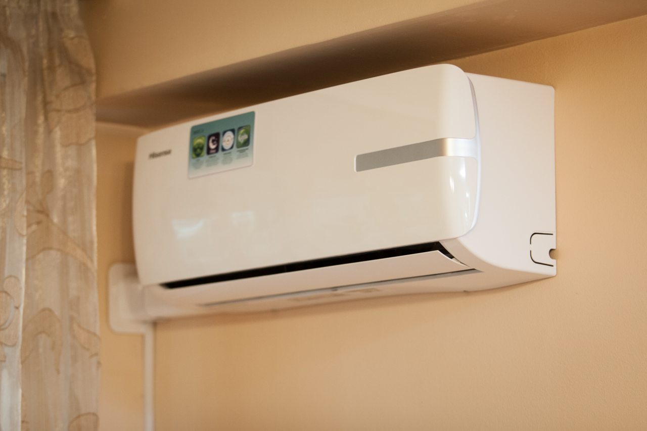 Студио (Студия 5), Апартаменты Дзамбала