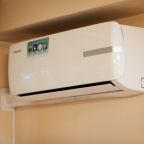 Студио (Студия 5), Апартаменты Дзамбала