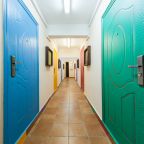 Студио (Студия 5), Апартаменты Дзамбала