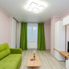 Квартира (Просторная 2-комнатная квартира евро формата в центре Перми), Апартаменты Просторные евро 2-комнатные в центре Перми