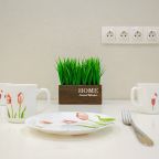 Возможность самостоятельного приготовления пищи, Апартаменты На Спартаковской 14