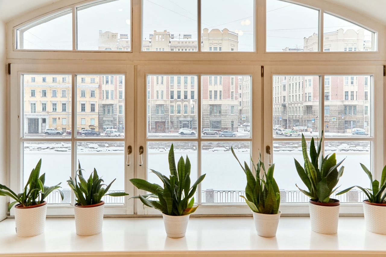 Вид из апартаментов 50 м2