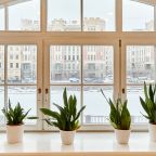 Панорамный вид из апартаментов 50м2