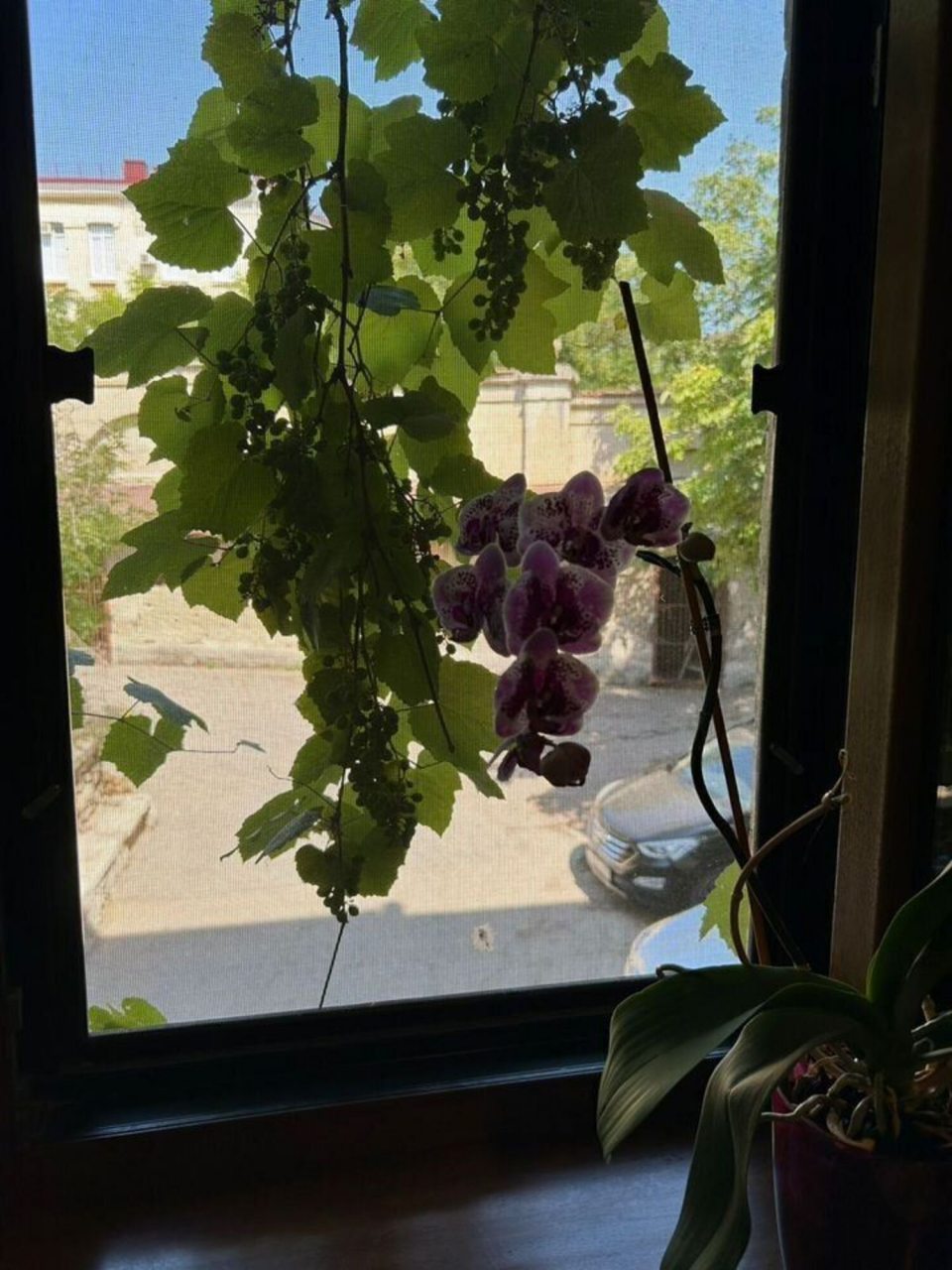 Апартаменты (Квартира на Большой Морской 43), Апартаменты на Большой Морской