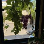 Апартаменты (Квартира на Большой Морской 43), Апартаменты на Большой Морской