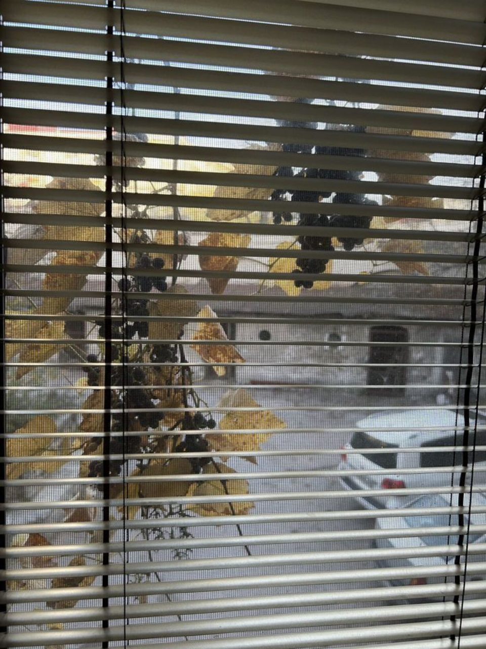 Апартаменты (Квартира на Большой Морской 43), Апартаменты на Большой Морской