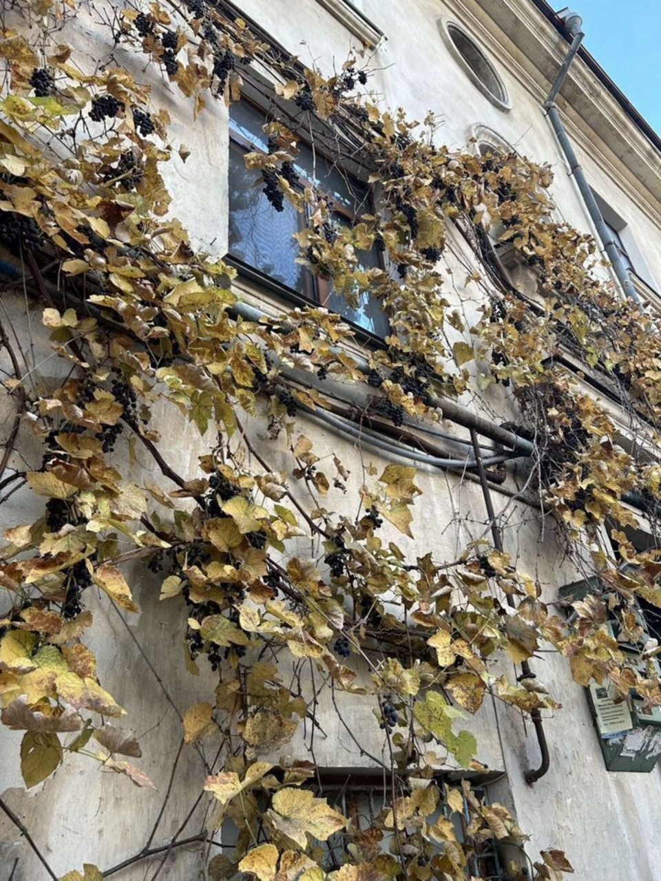 Апартаменты (Квартира на Большой Морской 43), Апартаменты на Большой Морской