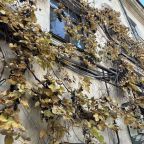 Апартаменты (Квартира на Большой Морской 43), Апартаменты на Большой Морской