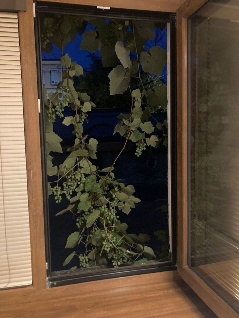 Апартаменты (Квартира на Большой Морской 43), Апартаменты на Большой Морской