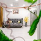 Гостиная с кухней и кондиционером