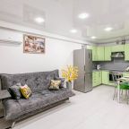 Гостиная с кухней и кондиционером и теплым полом.Плита элект